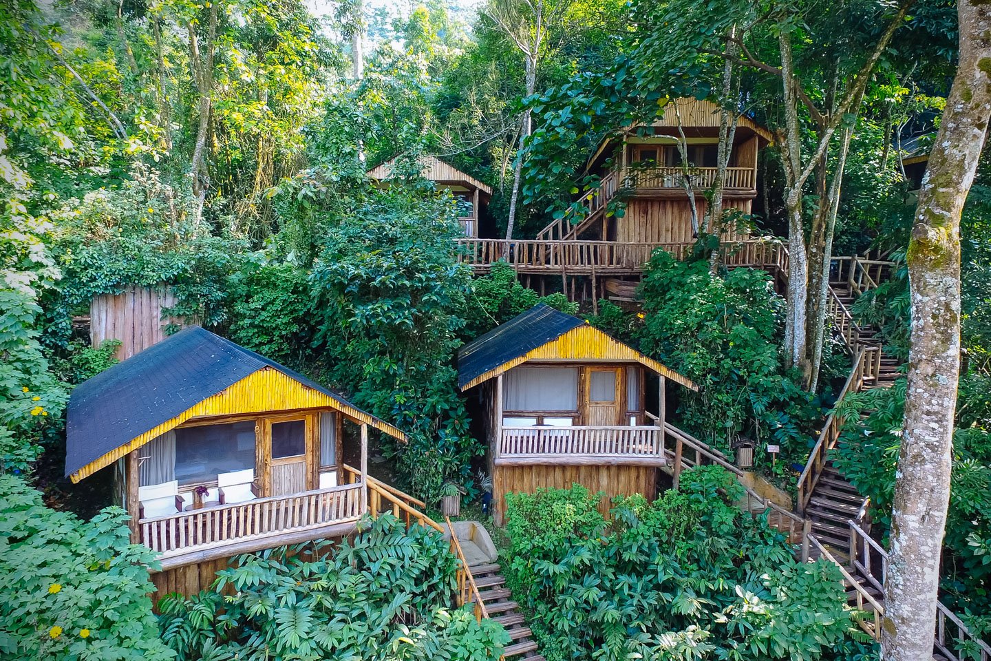   Gorilla Lodge